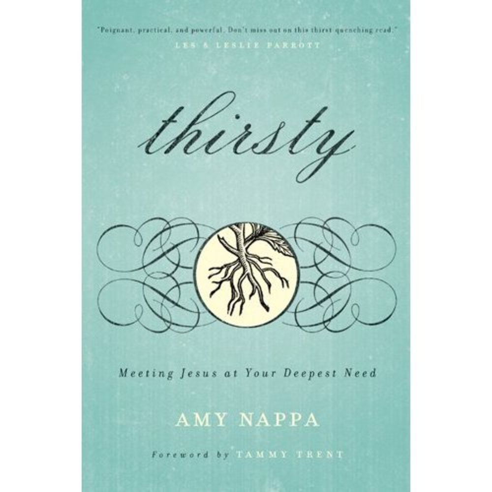 Thirsty: Meeting Jesus at Your Deepest Need (Paperback)